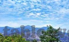 世界杯 中国球童-世界杯中国球童，梦想与荣耀的传递者